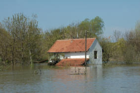 Flood and Property Adjusting